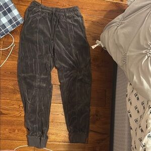 women's essential velvet jogger